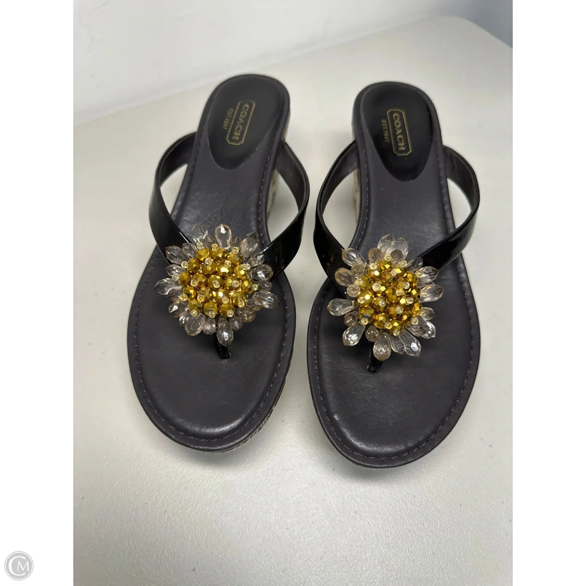Sandals Designer By Coach In Brown, Size: 8