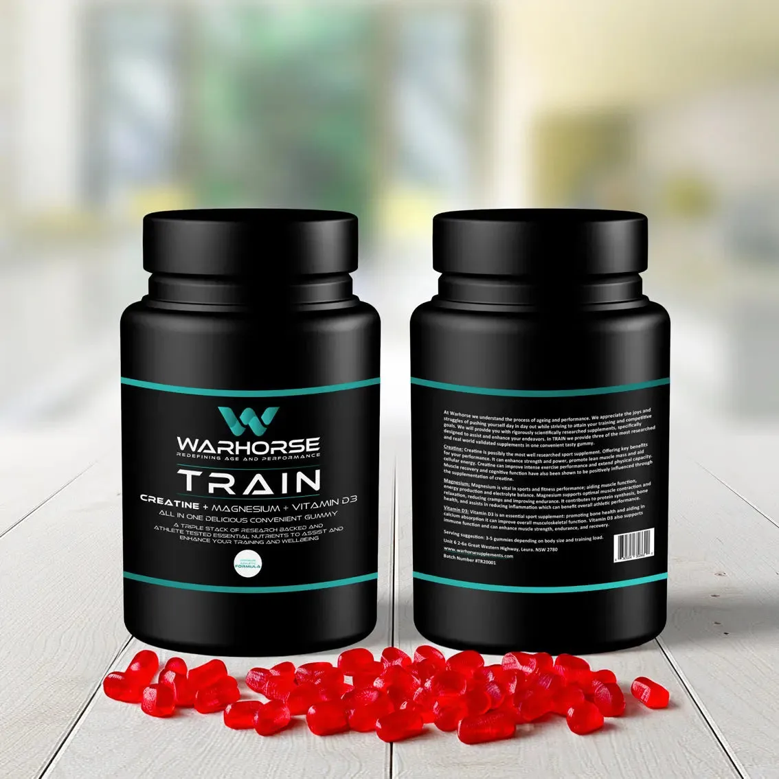 Warhorse Train